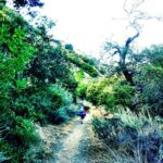 making trail