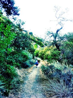 making trail