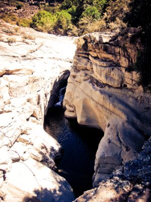 punchbowls