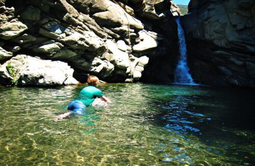 swim1
