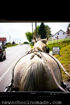 Amish Horse Buggy PA