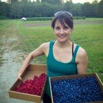 Berry Picking Cascade Farm WA