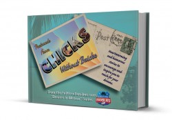 Postcards from Chicks Without Bricks book cover