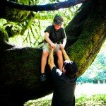 Tree climbing  Olympic Peninsula WA